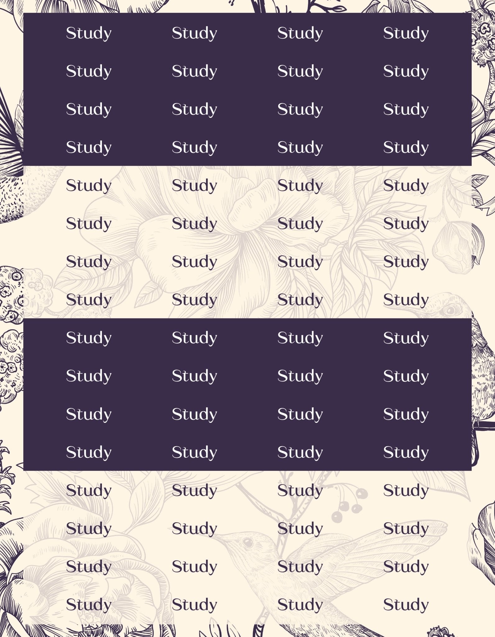 Study Sticker Sheets - 9 Designs/Colors - Colibri Paper Co