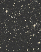 Cosmic