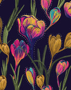 Tulip
