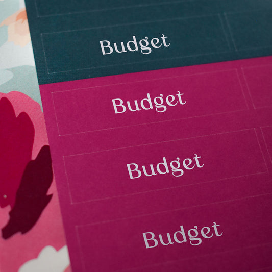 Budget Sticker Sheets - "Budget" (2 Sheets) - Colibri Paper Co